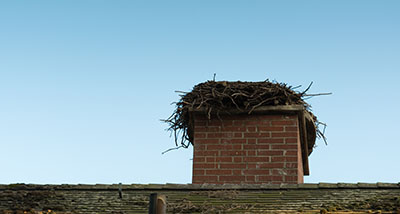 an empty birds next on top of a chimney on a house]